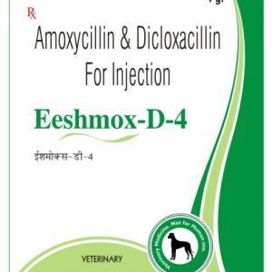 AMOXYCILLIN & DICLOXACILLIN INJECTION - 4000mg