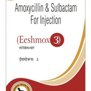 Amoxicillin & Sulbactam Injection