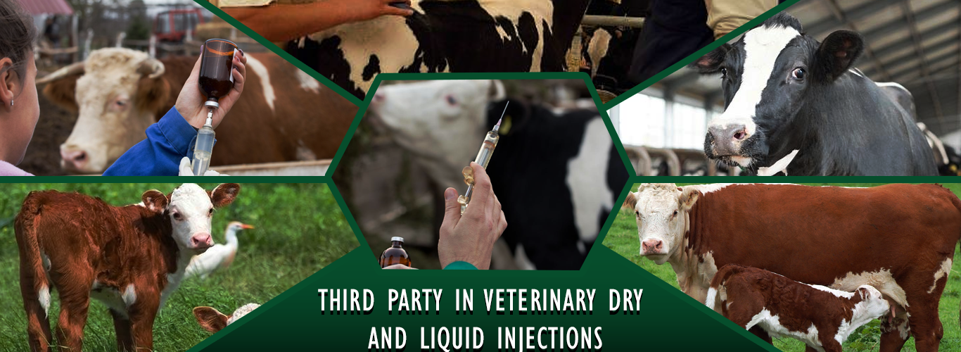 Third Party Dry and Liquid Injection